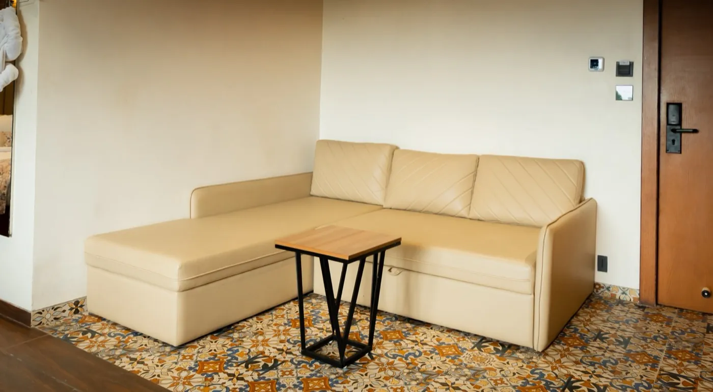 Deluxe suite sofa bed