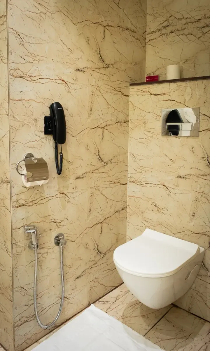 Deluxe suite washroom