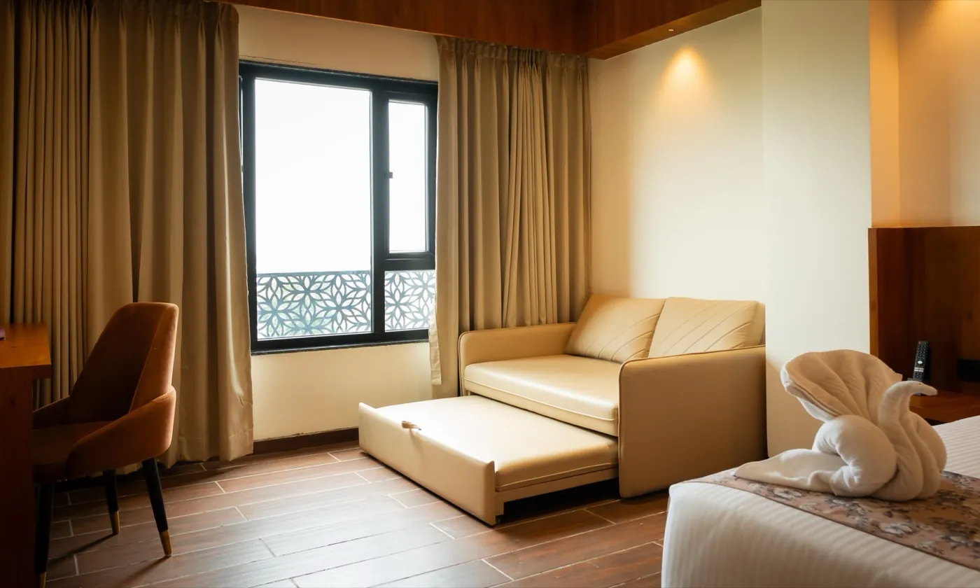 Premium room sofa bed